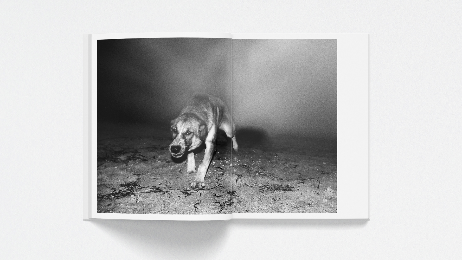 Opened book on a black & white photograph