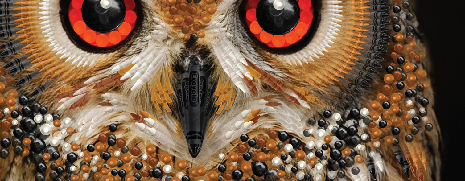 Crayola: Owl Detail – Painting photos with crayons