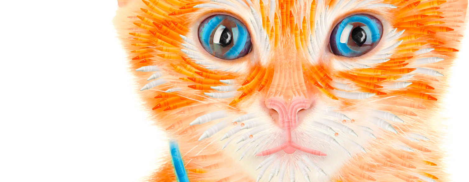 Crayola: Cat Detail – Painting photos with crayons