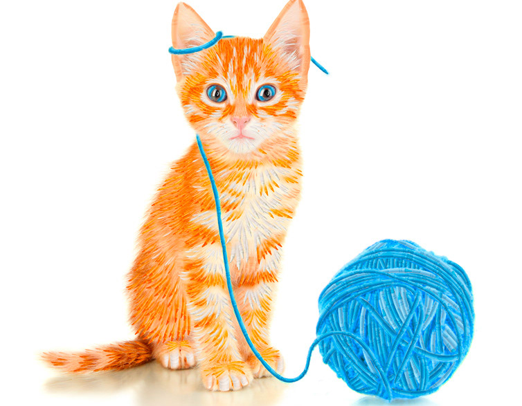 Crayola: Painting cat with crayons