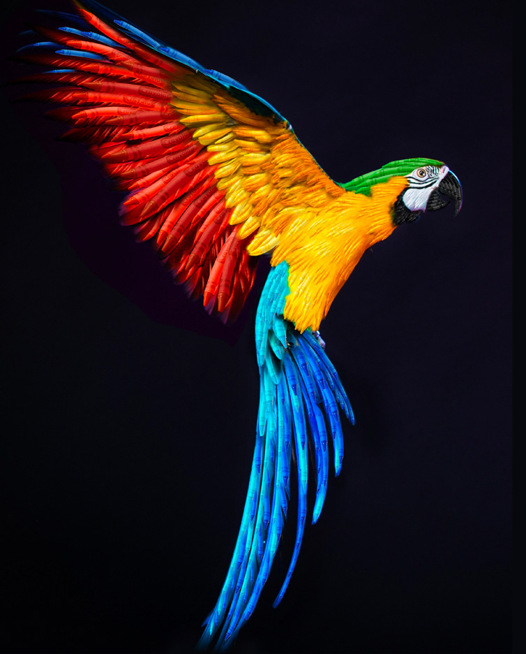 Crayola: Painting parrot with crayons