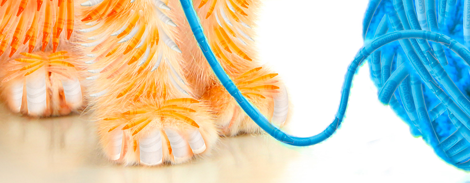 Crayola: Cat Detail – Painting photos with crayons