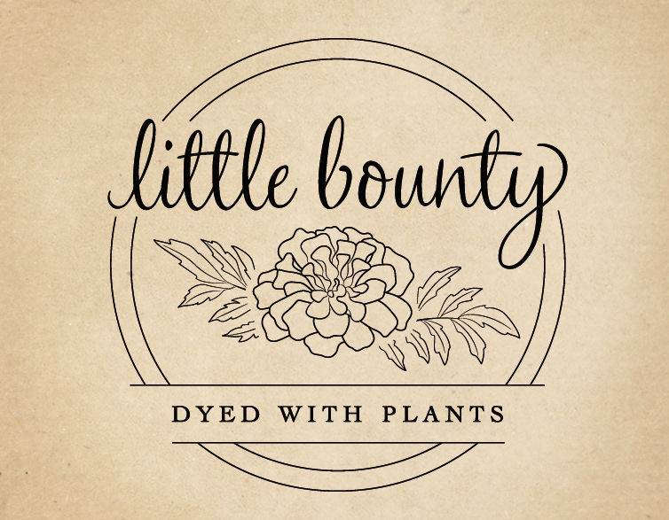 Custom identity and logo illustration