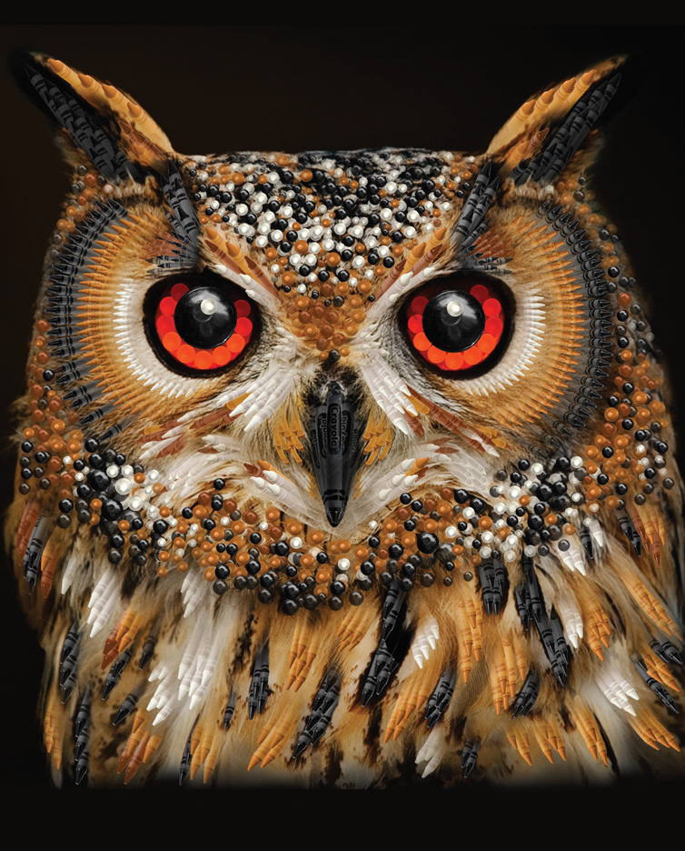 Crayola: Painting owl with crayons