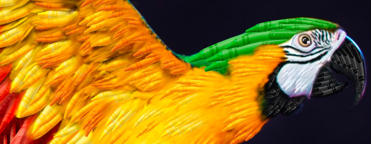 Crayola: Parrot Detail – Painting photos with crayons