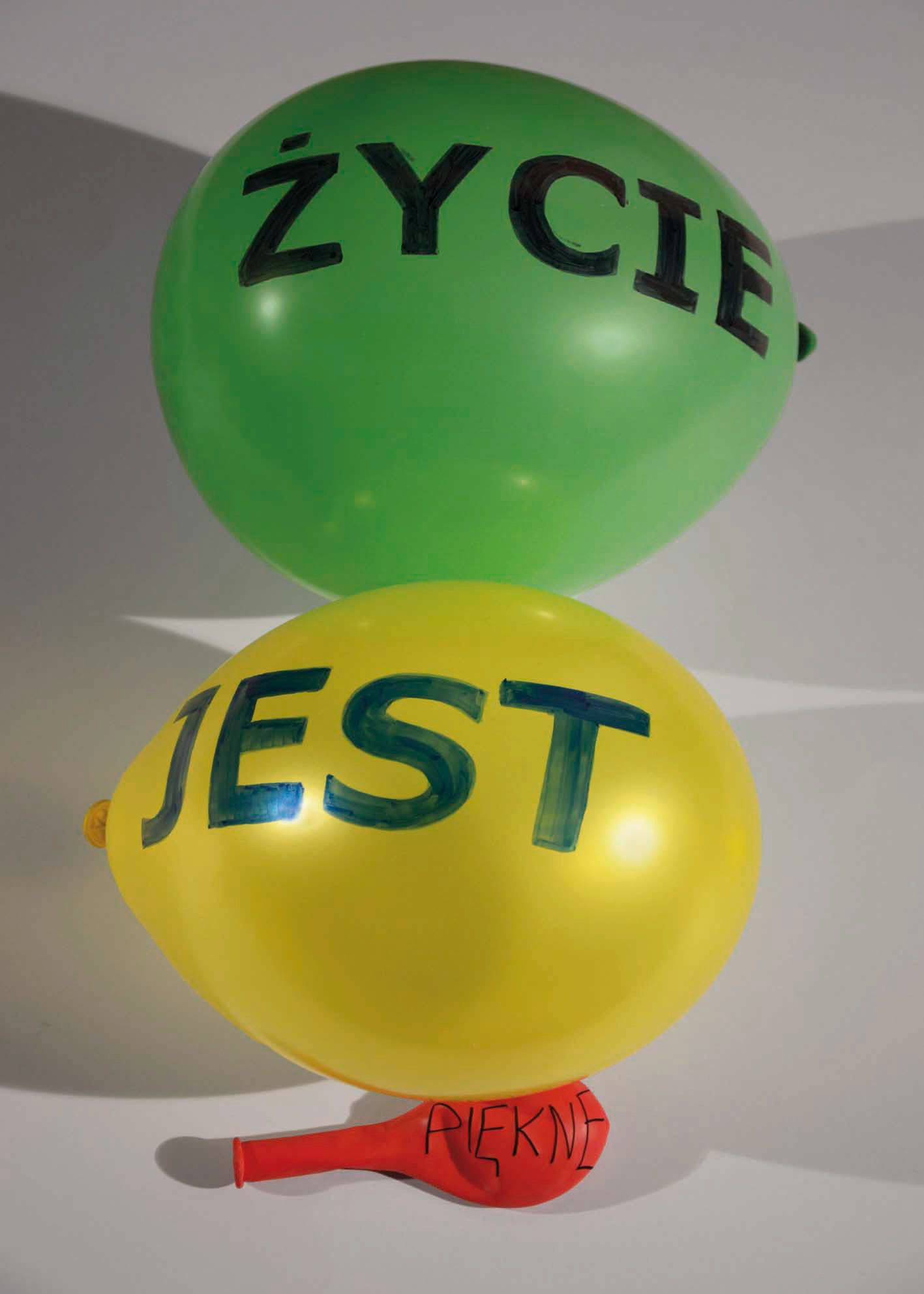 Julia Sotkiewicz Plakat Życie jest piękne