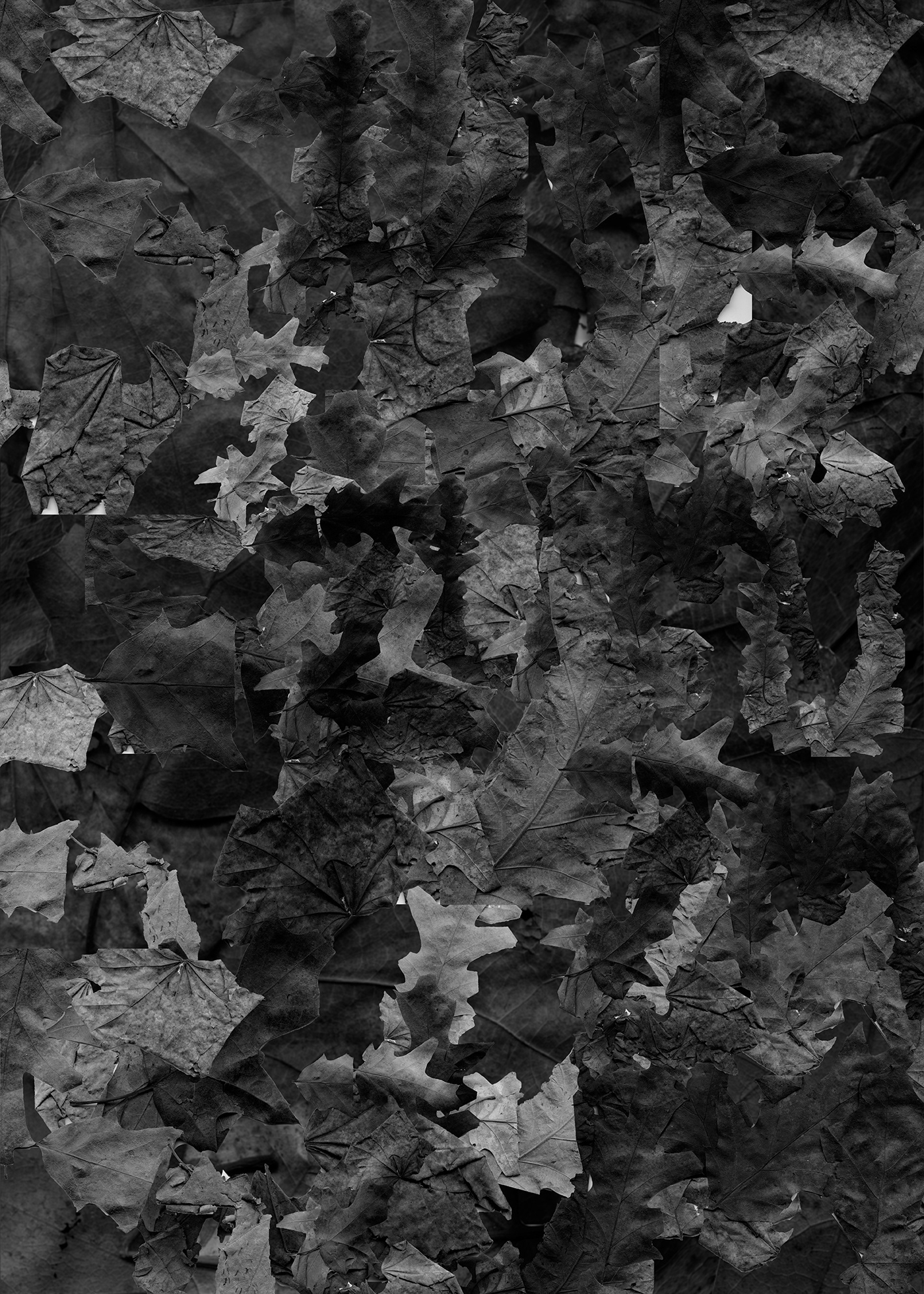  Klaudia Ryniak II r. SW, plakat typograficzny