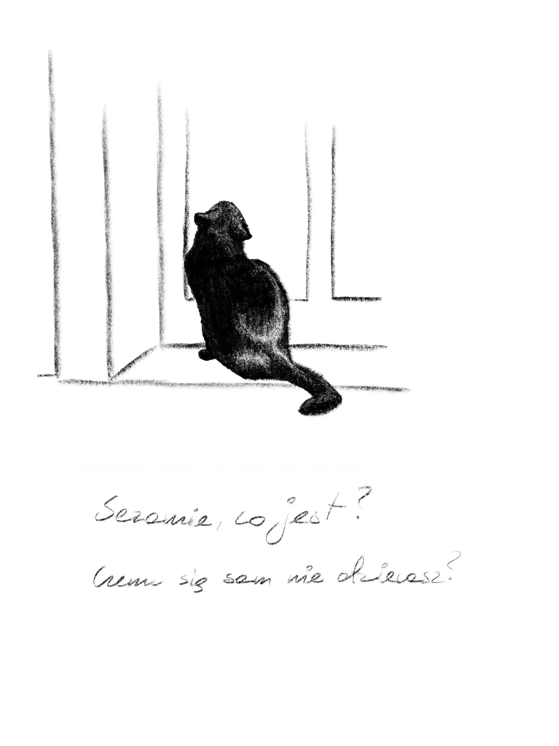 Adrianna Menażyk Borys&Radezz, seria autorskich ilustracji, I r. SW mgr