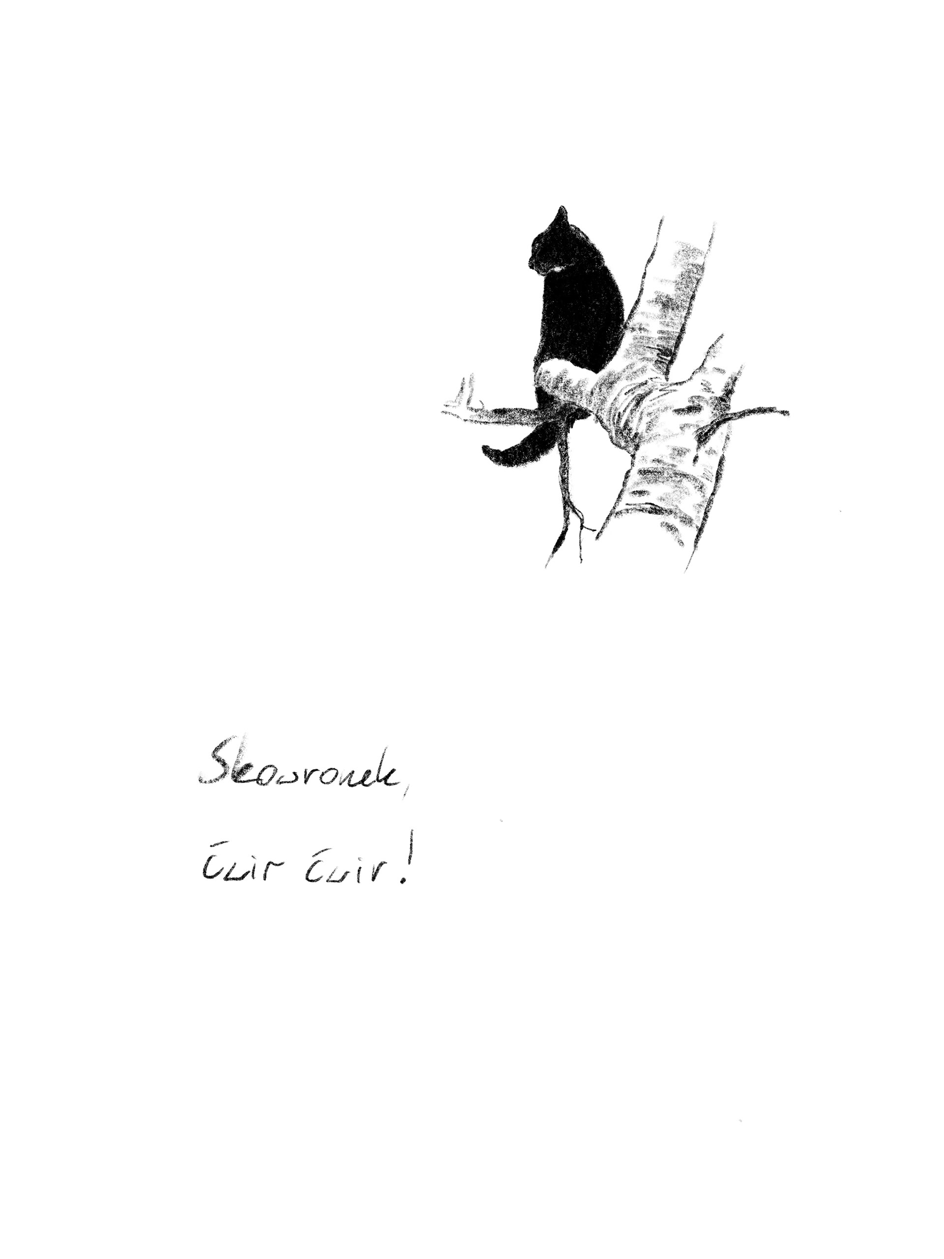Adrianna Menażyk Borys&Radezz, seria autorskich ilustracji, I r. SW mgr