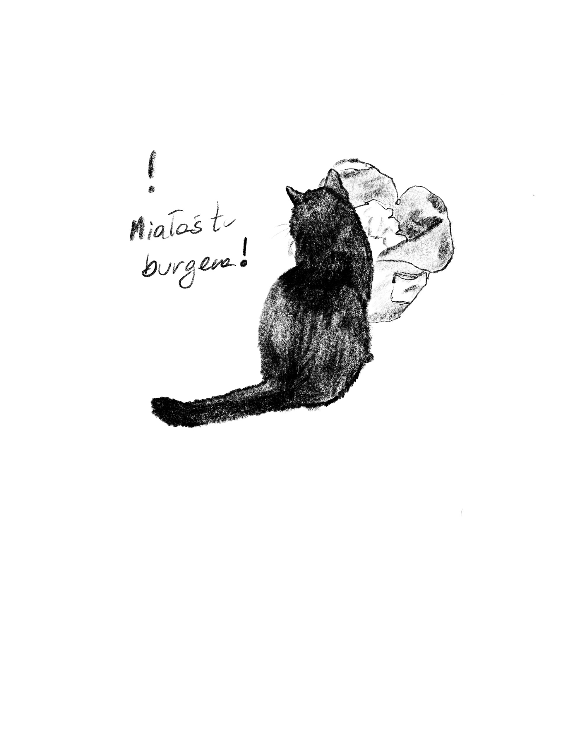 Adrianna Menażyk Borys&Radezz, seria autorskich ilustracji, I r. SW mgr