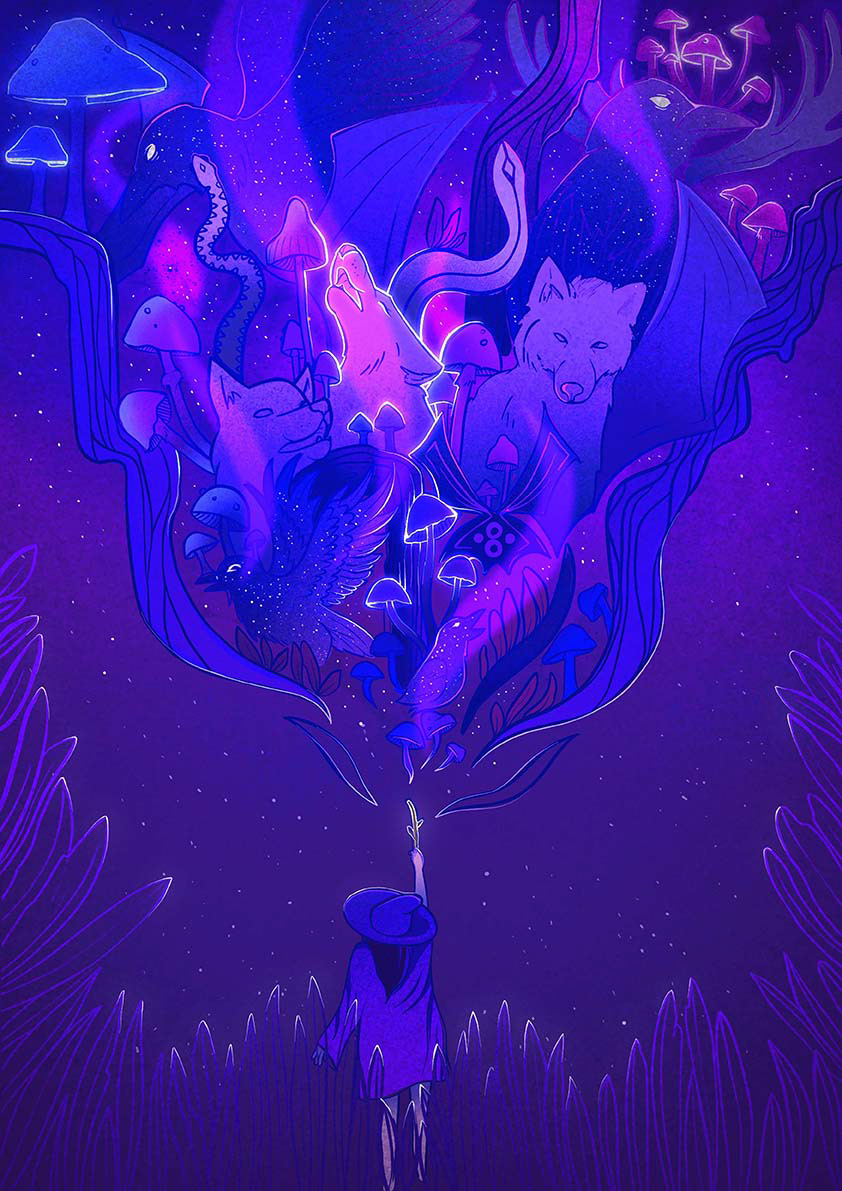 Izabela Plopa, Ilustracja konkursowa /II r. Grafika