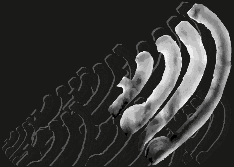 Joanna Nau, Plakat typograficzny