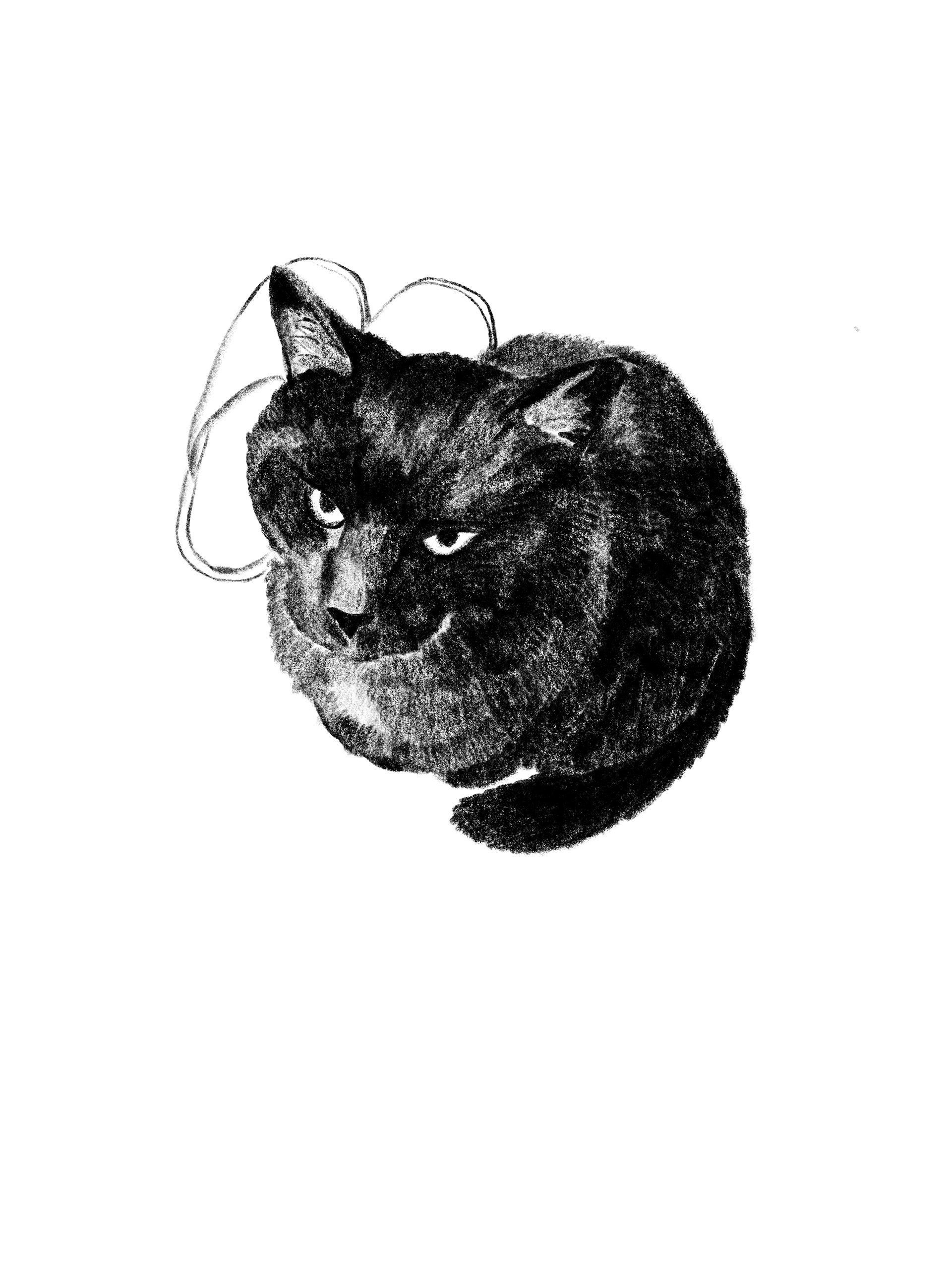 Adrianna Menażyk Borys&Radezz, seria autorskich ilustracji, I r. SW mgr