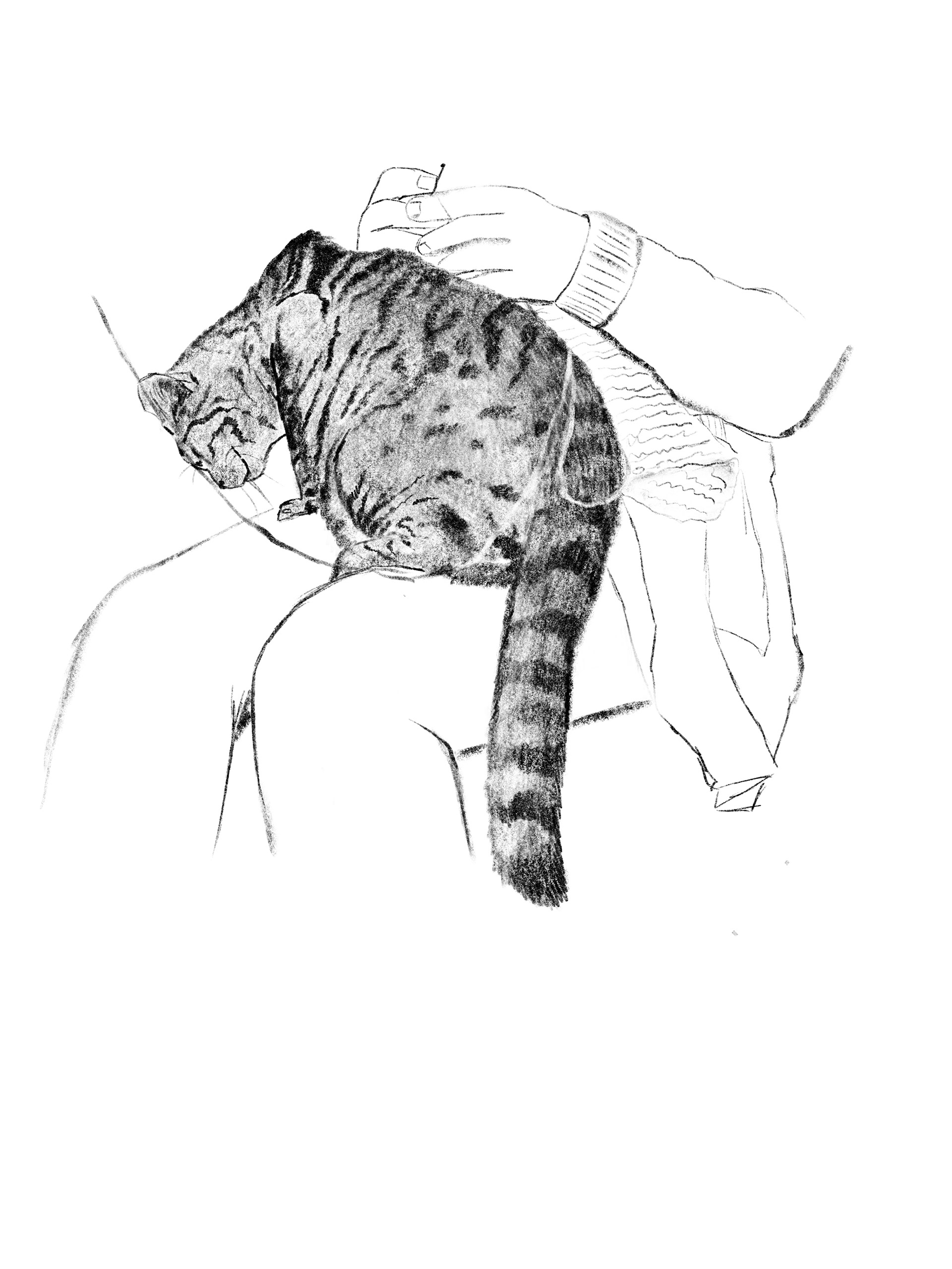 Adrianna Menażyk Borys&Radezz, seria autorskich ilustracji, I r. SW mgr