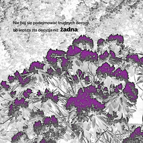 Aleksandra Łada, Dziewczyna, Kobieta, Starucha /III r. Grafika