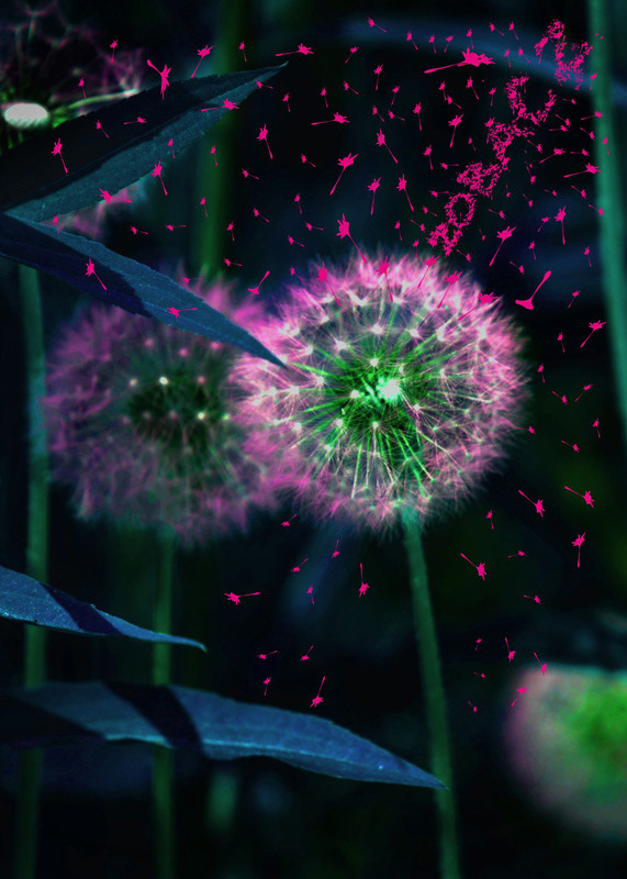 Joanna Nau,  Plakat „Zobacz...” 