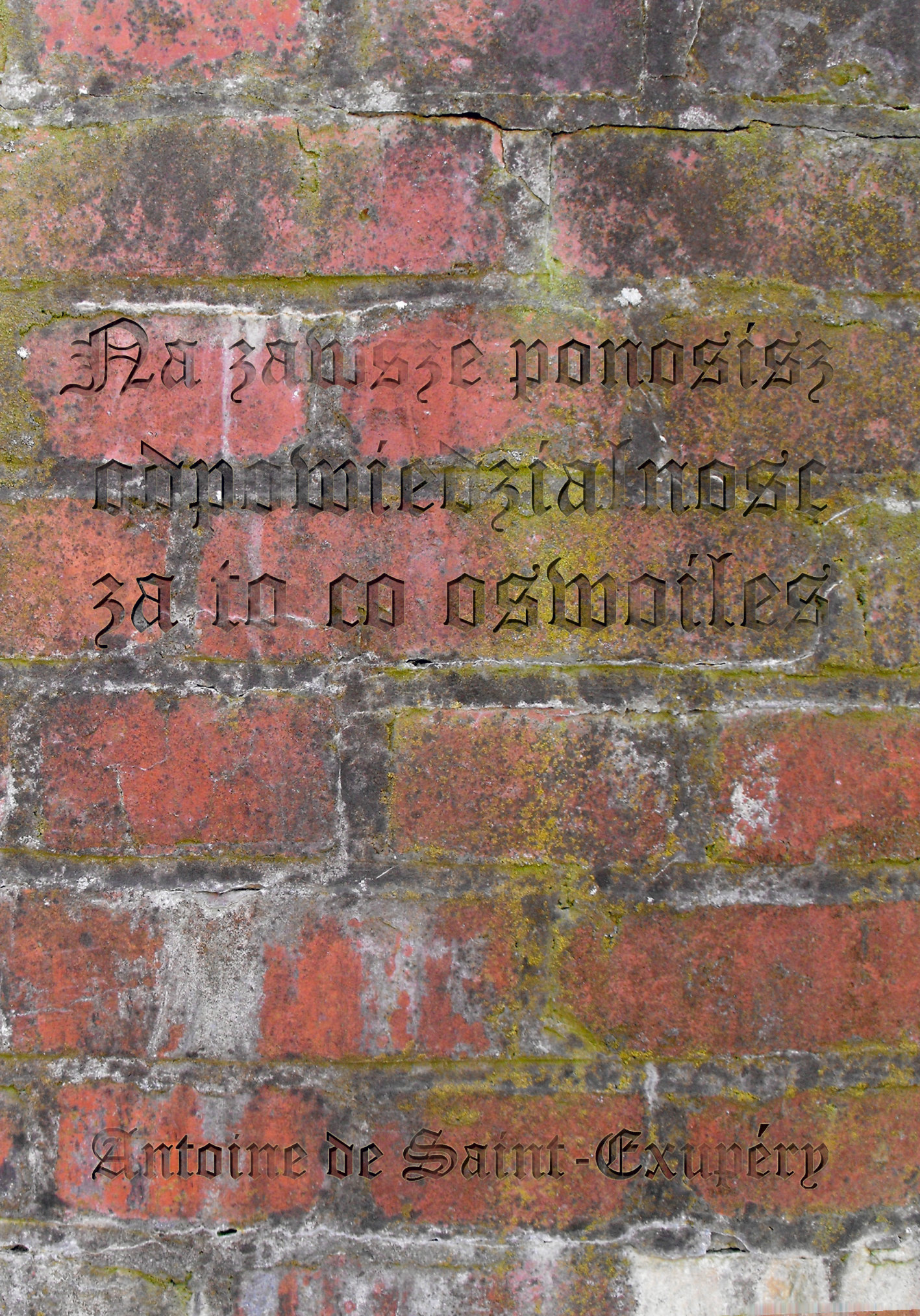 Weronika Tysz Plakat cytat typograficzny