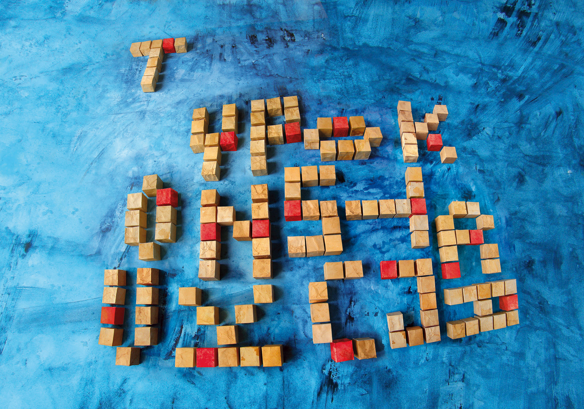 Edyta Skiert Typokonstrukcja