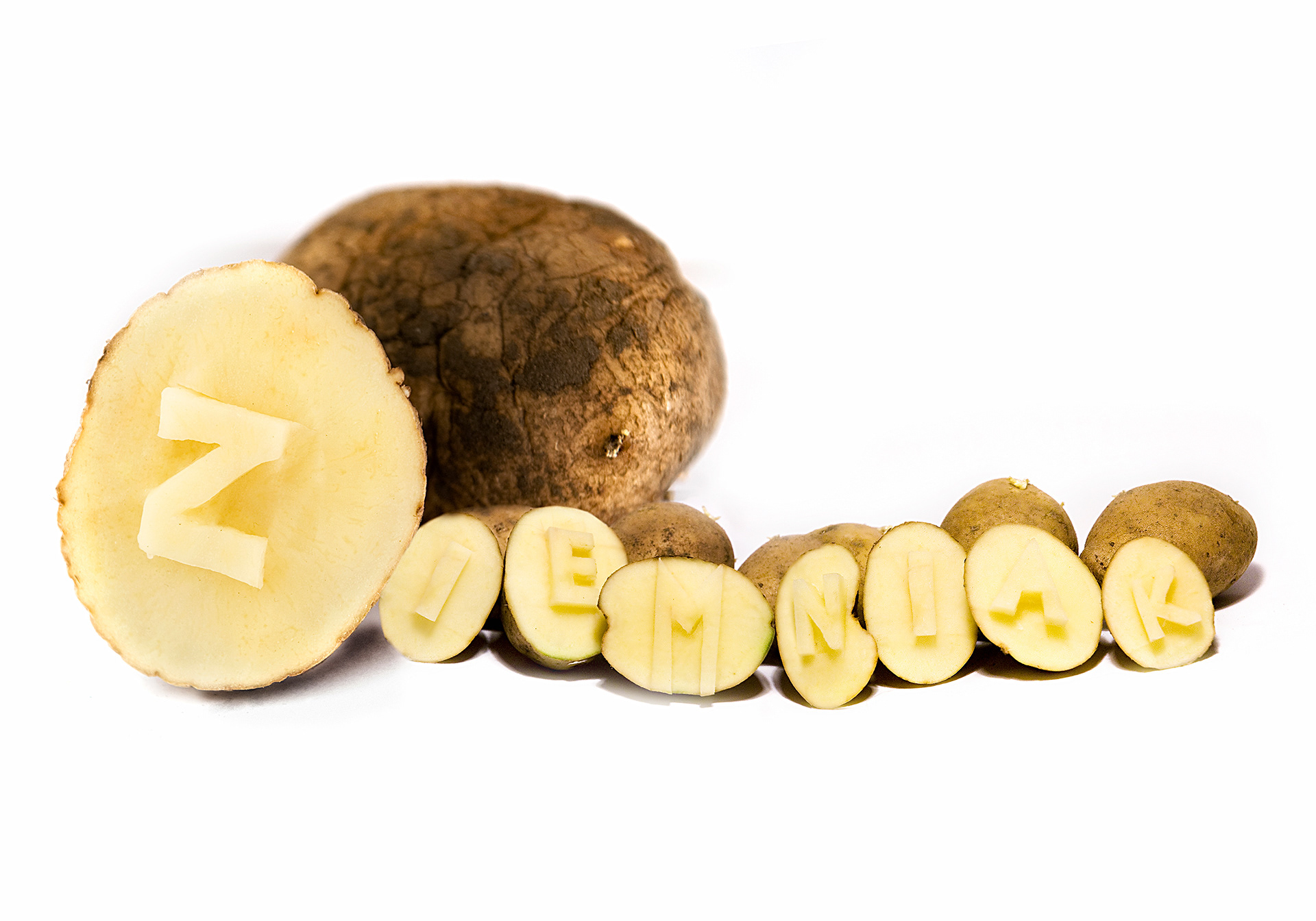 Dorota Kolesińska Plakat Ziemniak