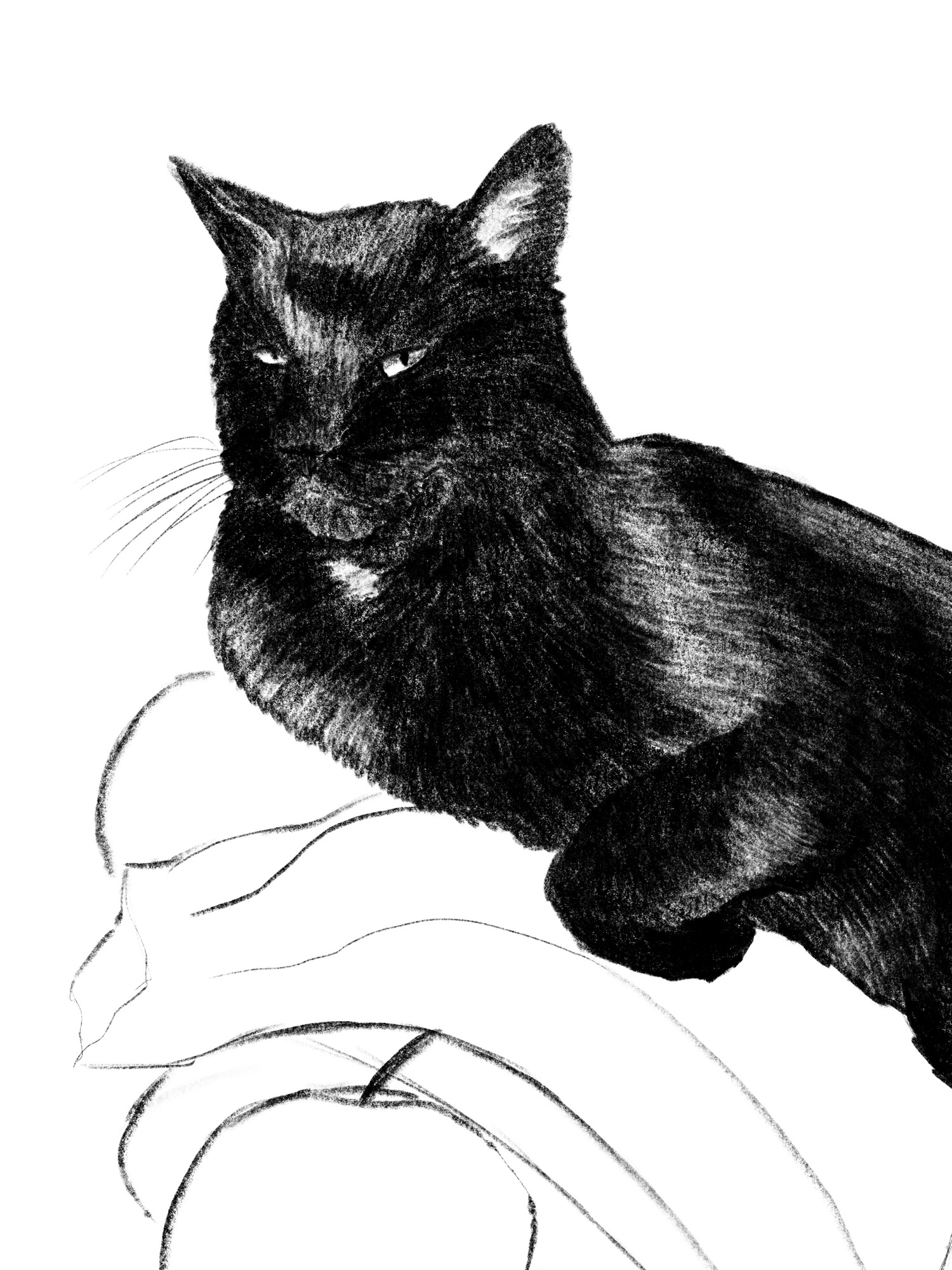 Adrianna Menażyk, In between /II r. SW mgr