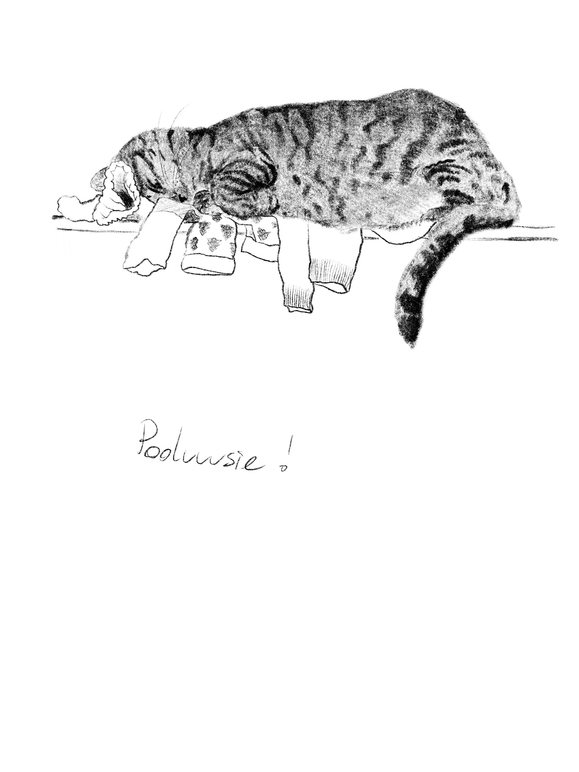 Adrianna Menażyk Borys&Radezz, seria autorskich ilustracji, I r. SW mgr