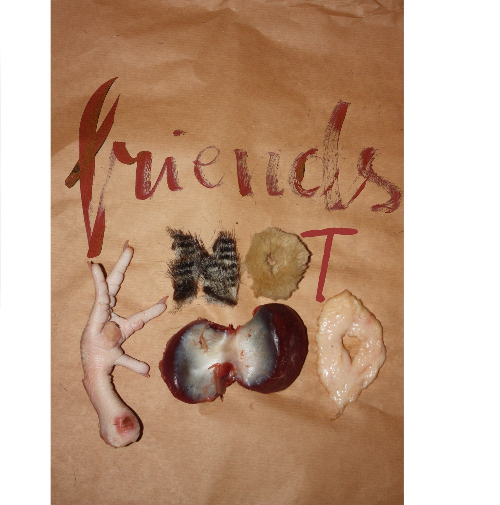 Marlena Pietrusza Plakat Friend not food