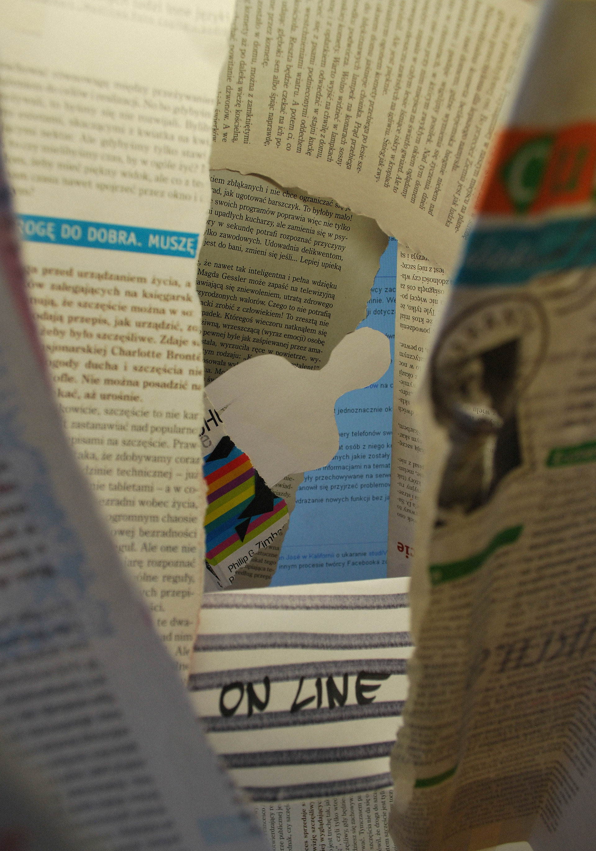 Daria Cholewa Plakat On line