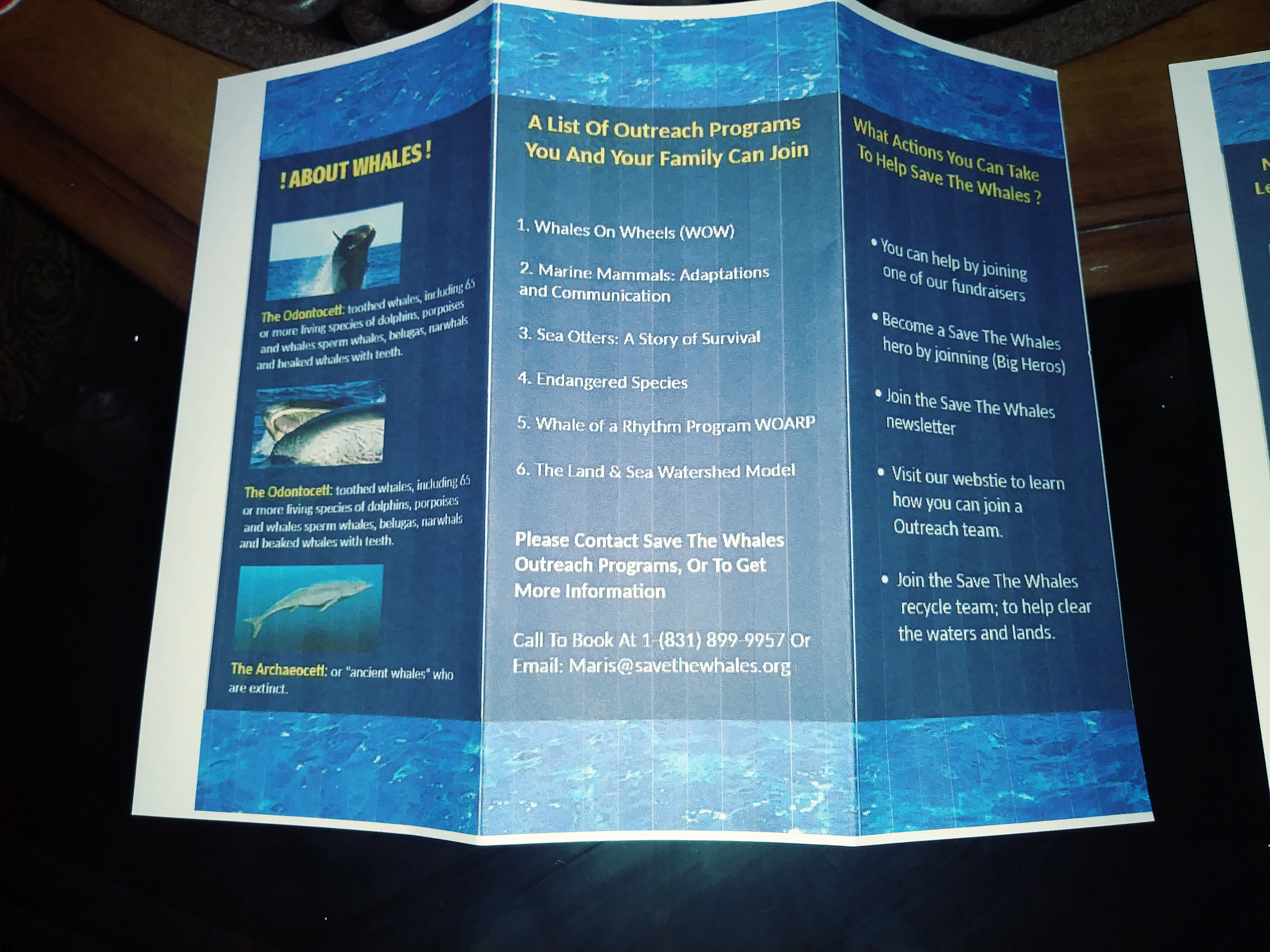 INSIDE BROCHURE 