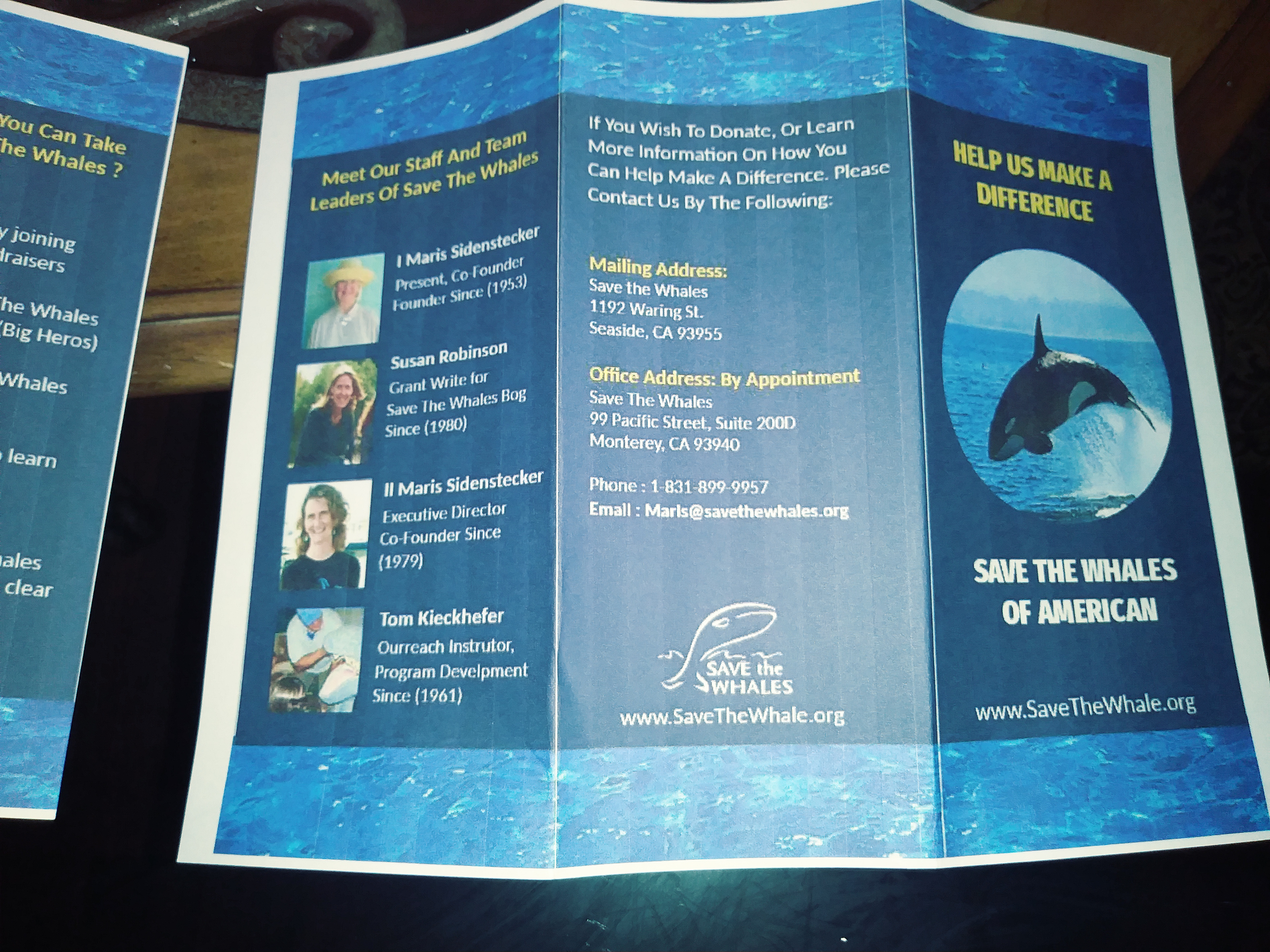 SAVE THE WHALE BROCHURE