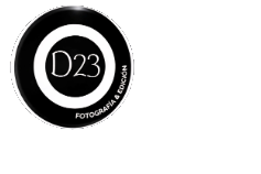 Damian Torres
