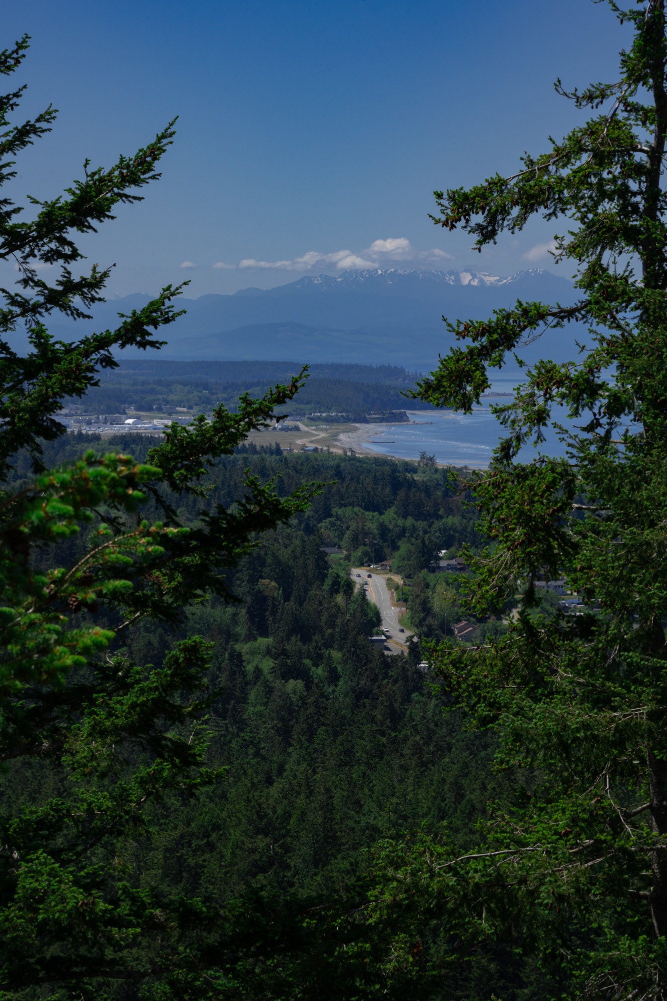 Goose Rock Trail #4, June 2023