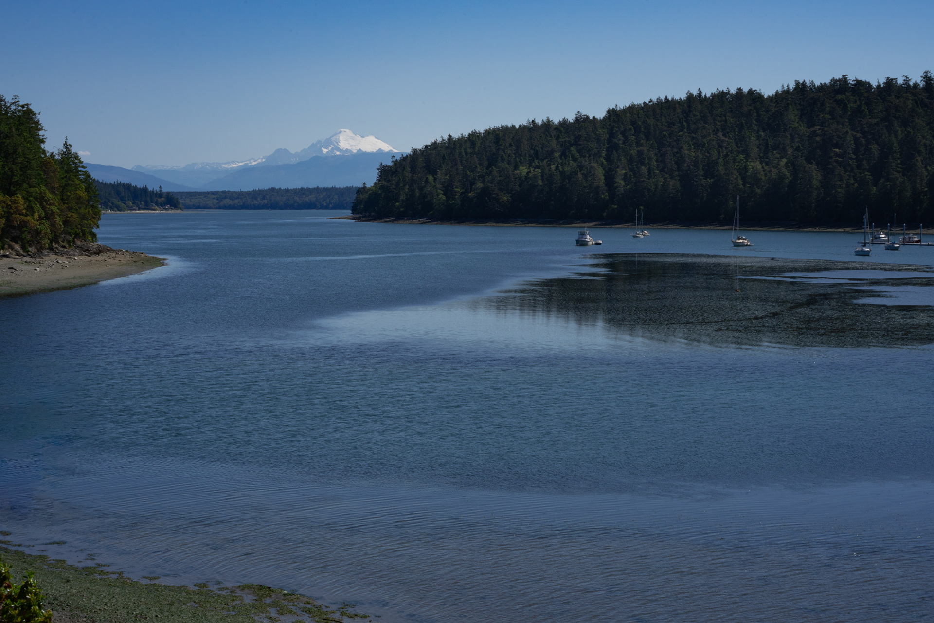 Goose Rock Trail #2, June 2023