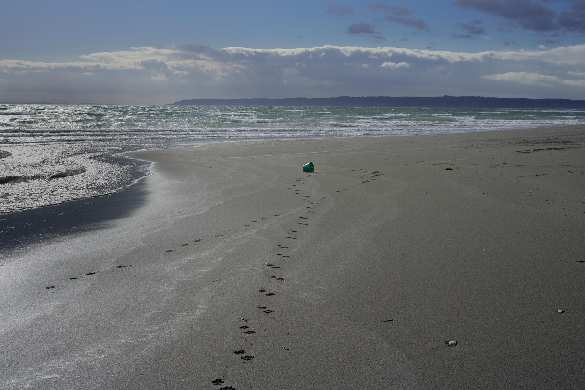 Double Bluff Beach #2, October 2022