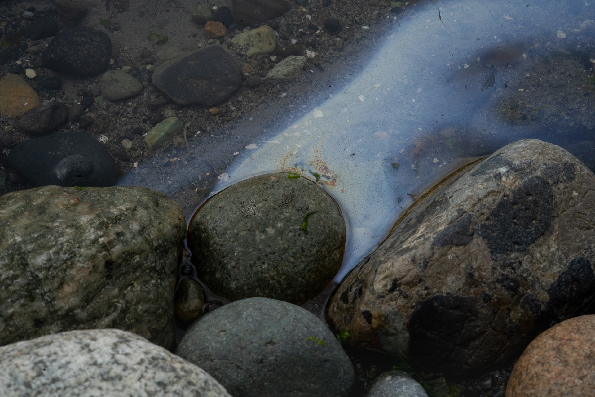 Boise River #2, August 2022