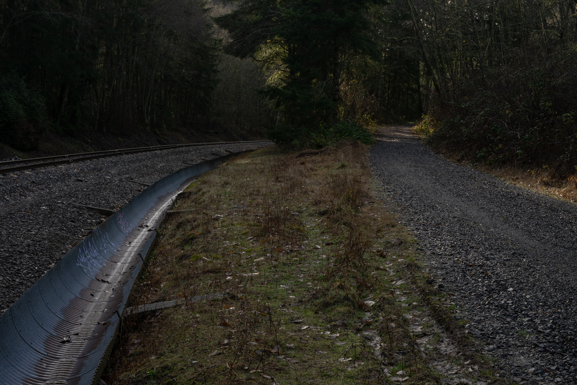 Japanese Gulch Trail #1, January 2023
