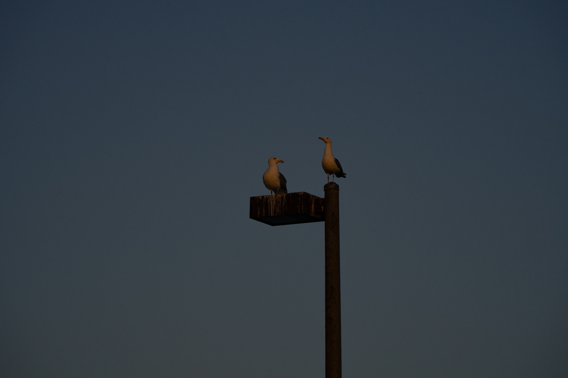Mukilteo, WA #3, May 2023