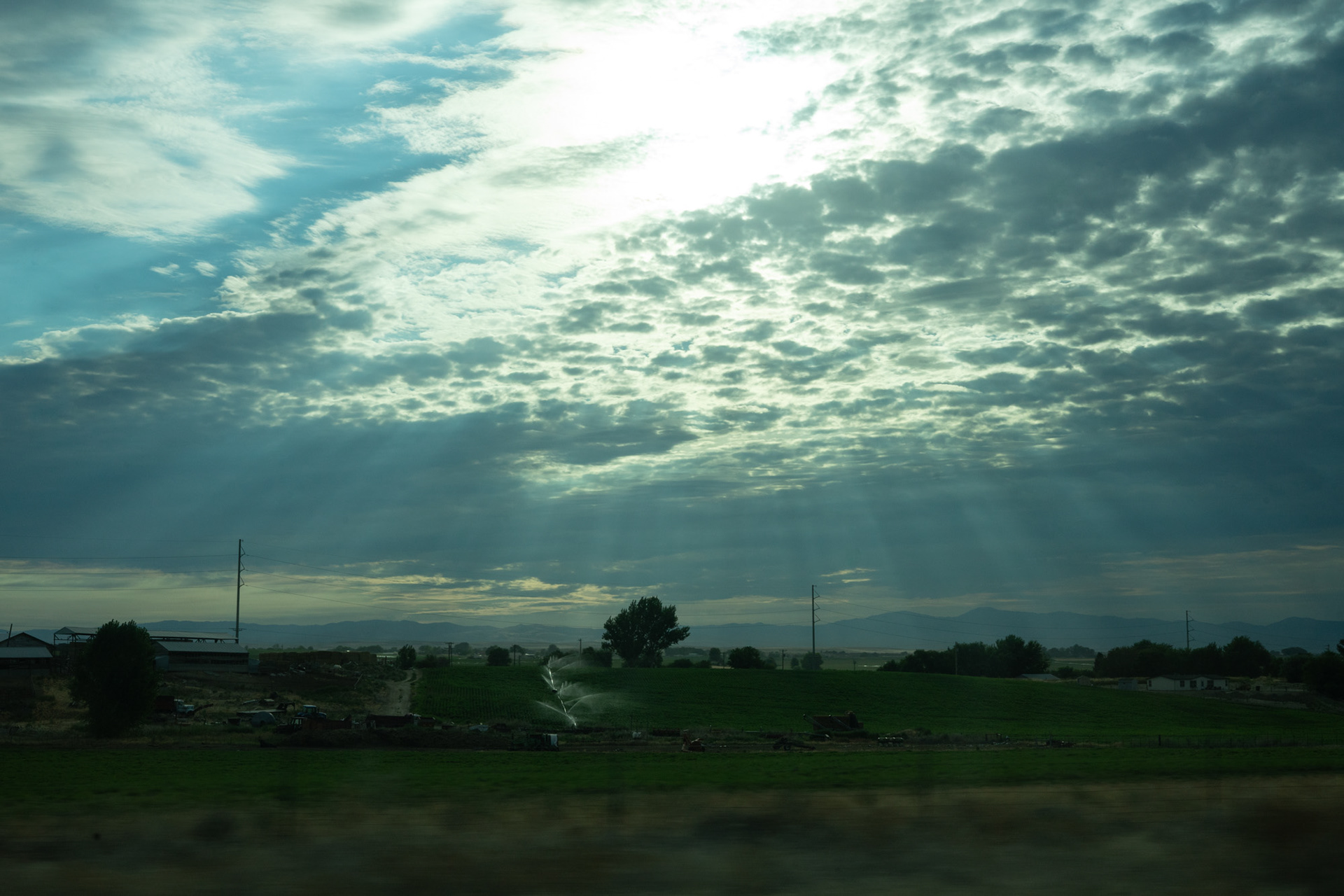 Country Life