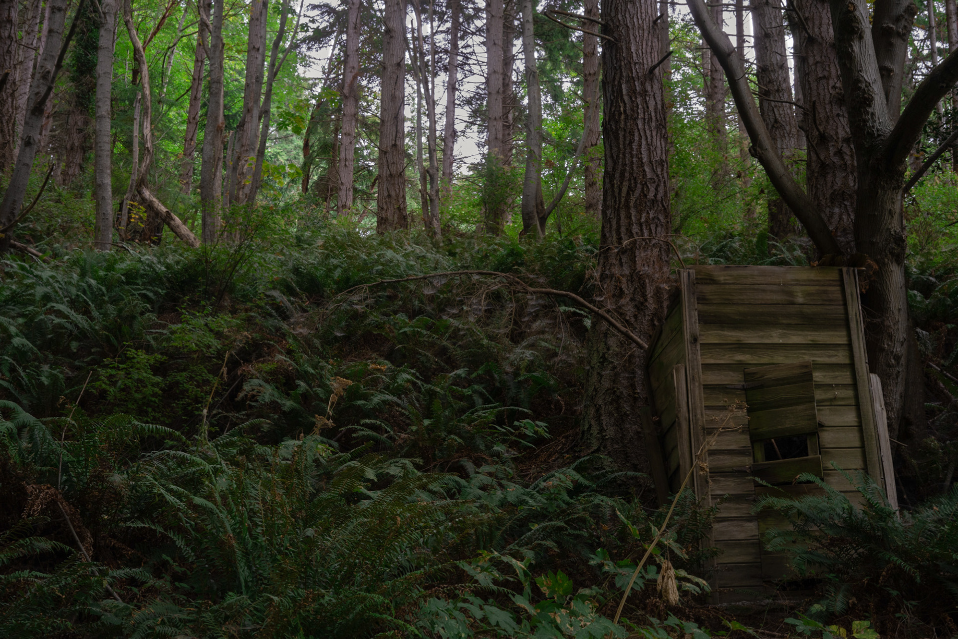 Possession Point Trail, March 2023