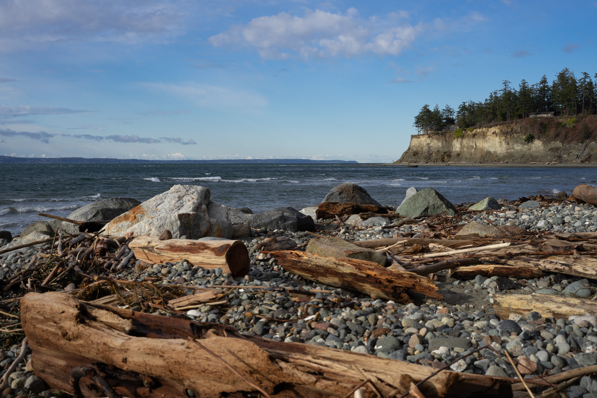 Double Bluff Beach #4, January 2023