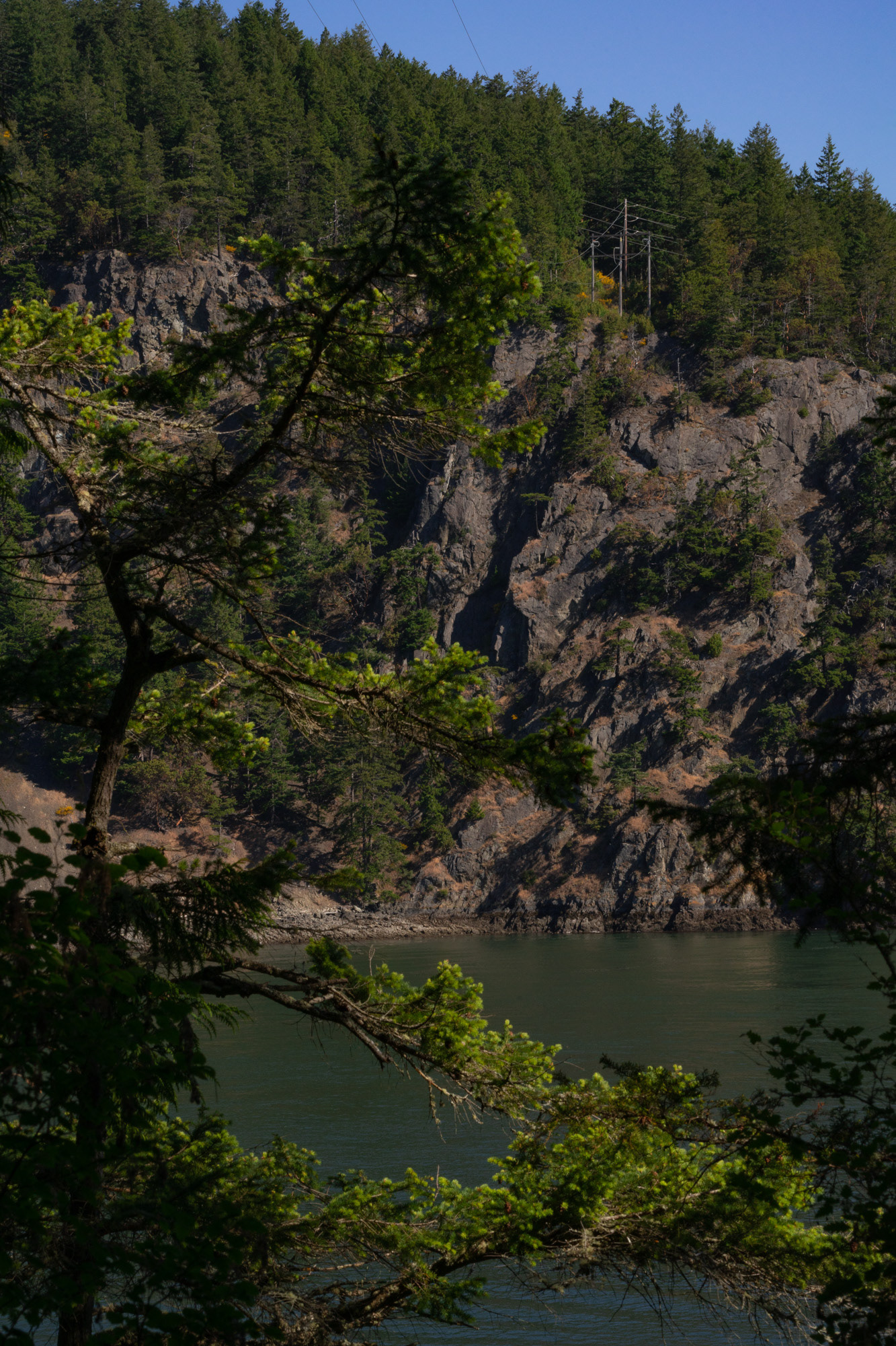 Goose Rock Trail #1, June 2023