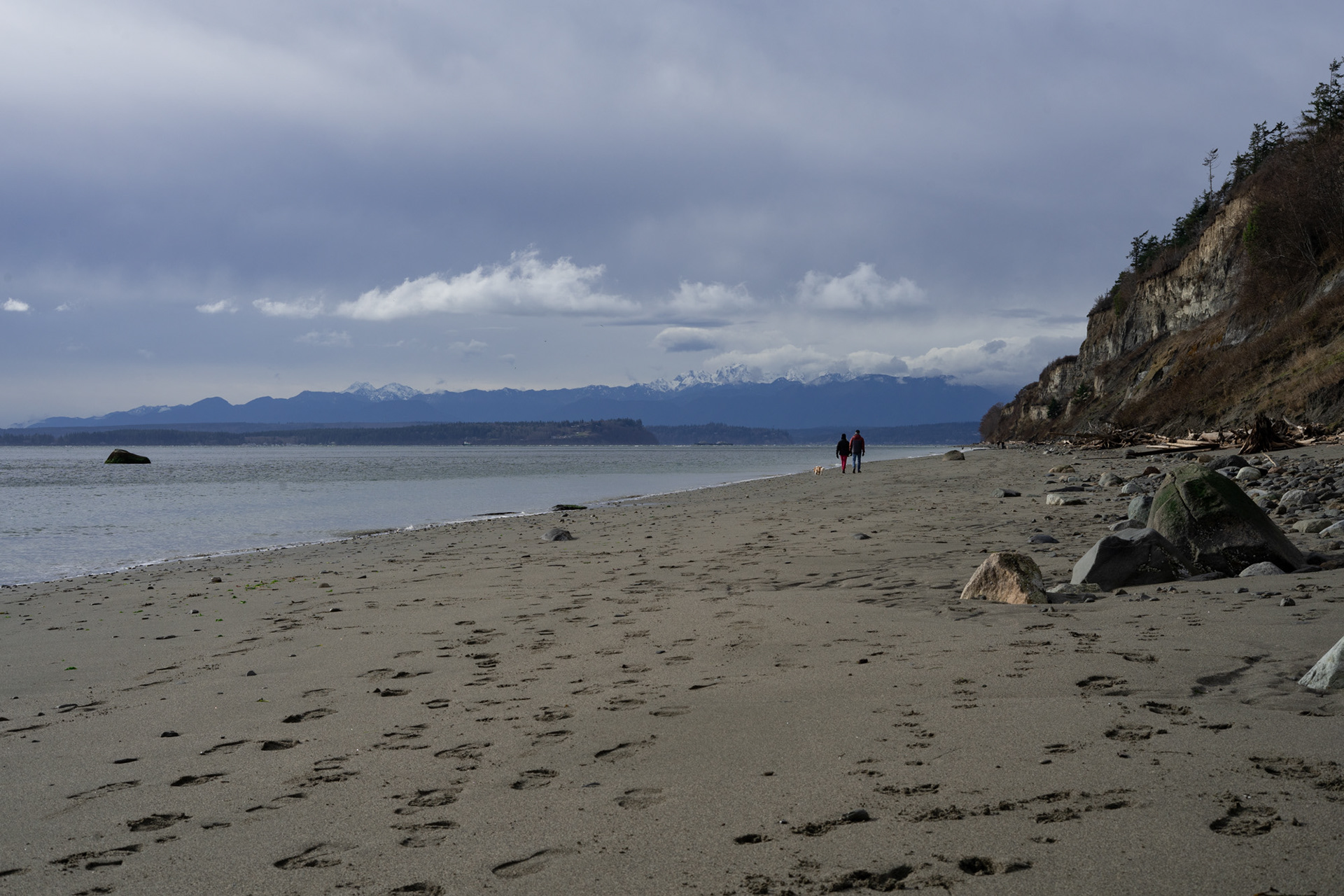 Double Bluff Beach #3, January 2023
