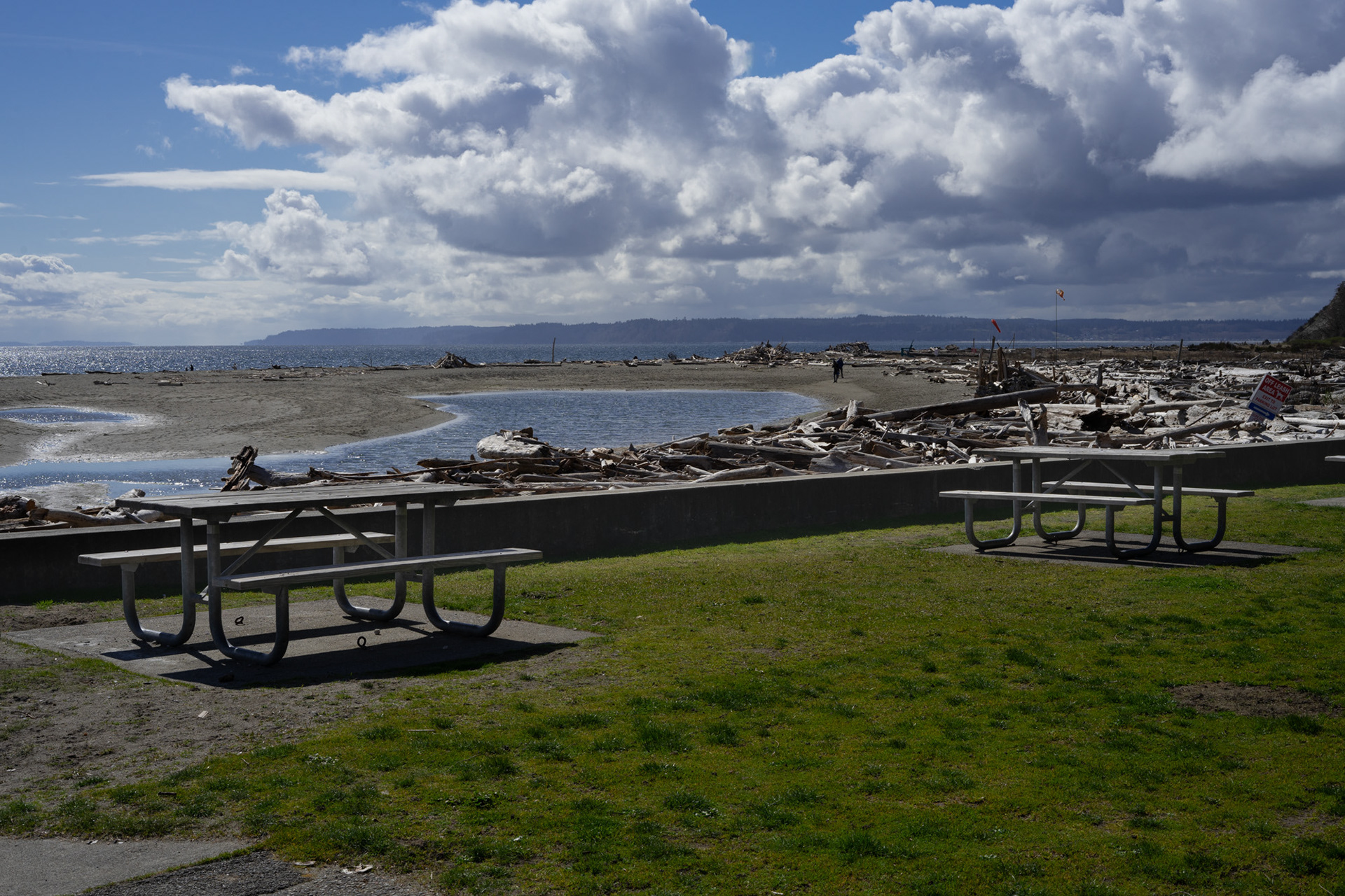 Double Bluff Beach #1, March 2023