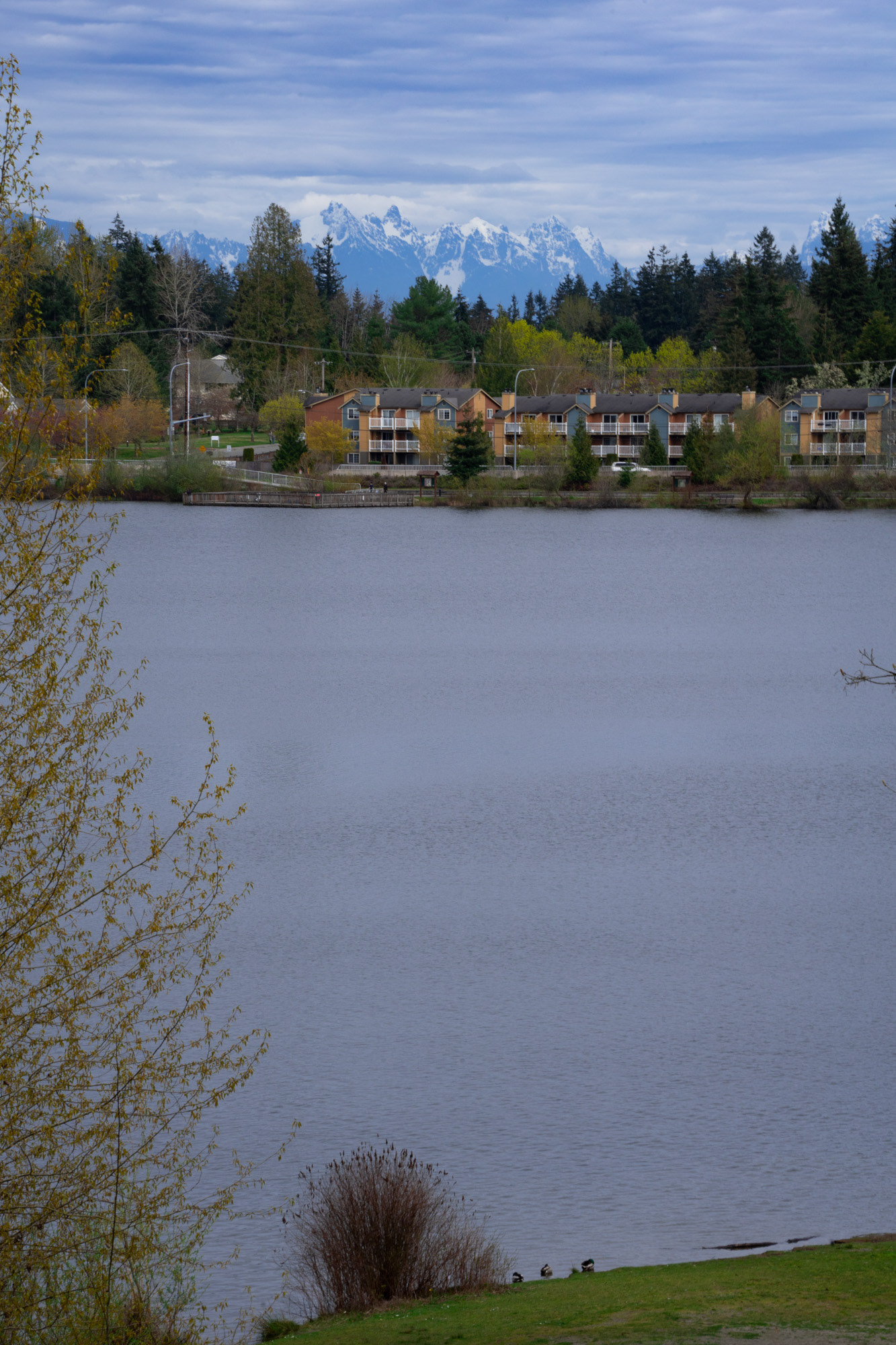 Silver Lake #2, April 2023