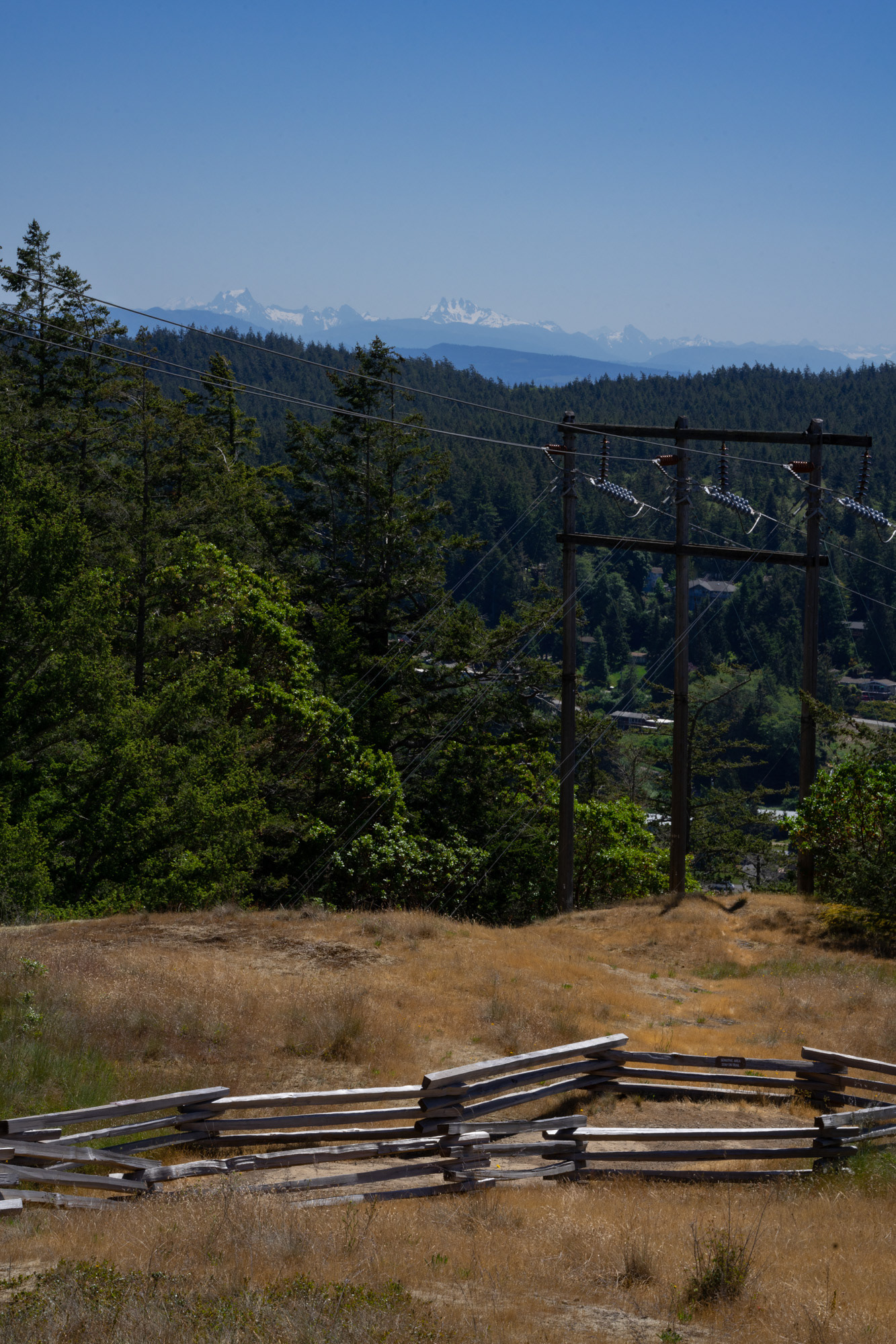 Goose Rock Trail #3, June 2023
