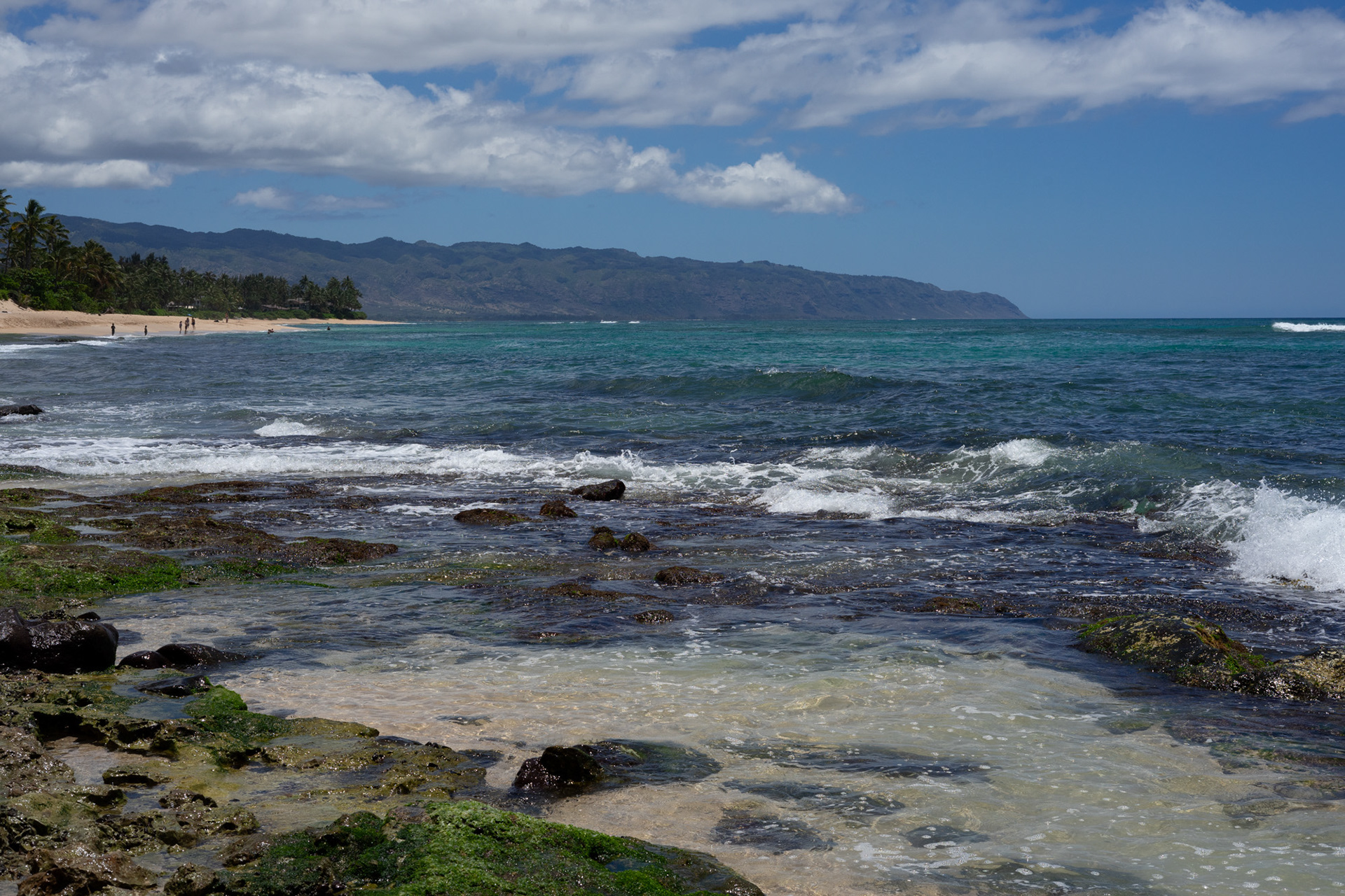 Laniakea Beach #2, June 2022