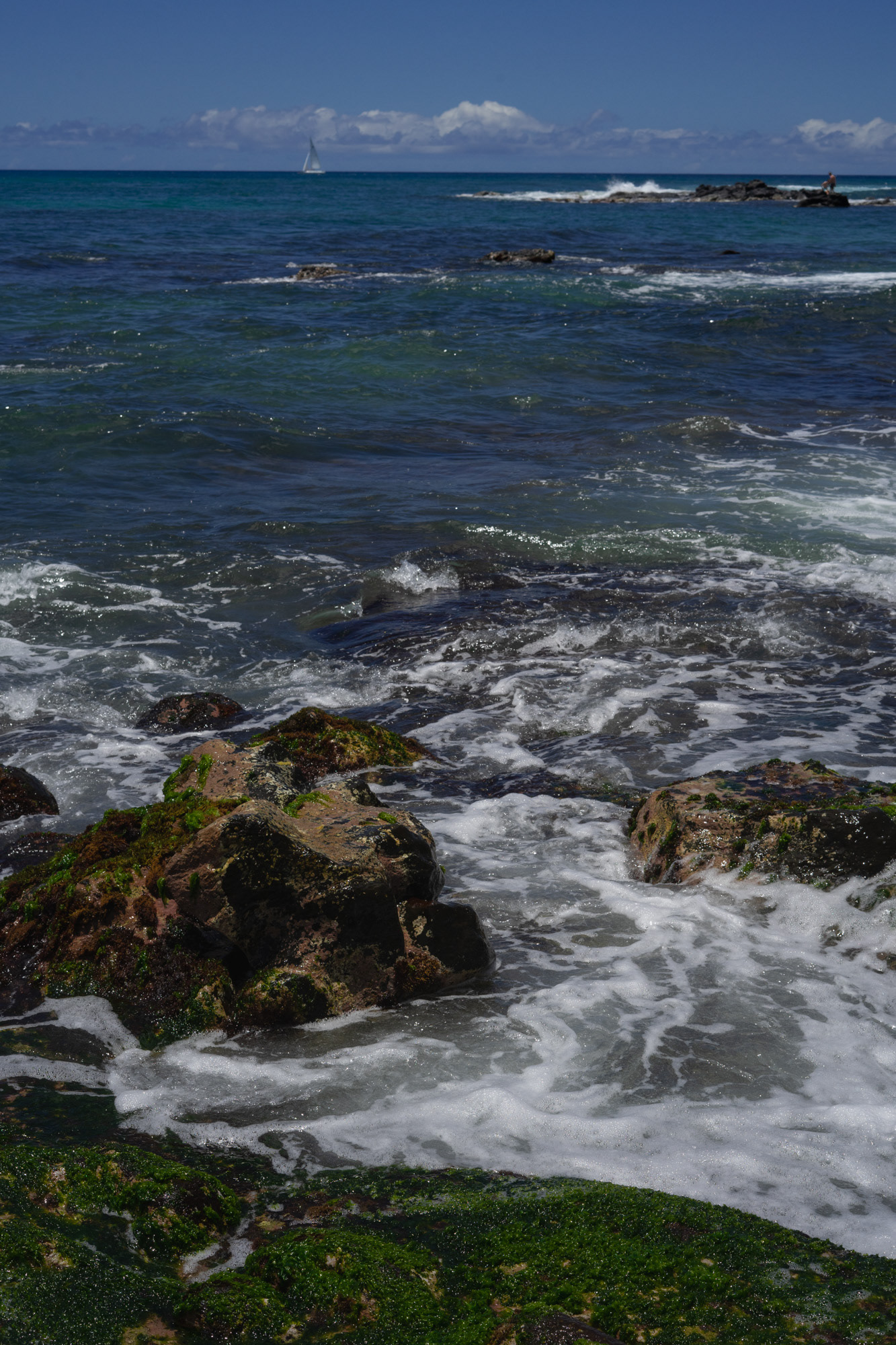 Laniakea Beach #1, June 2022