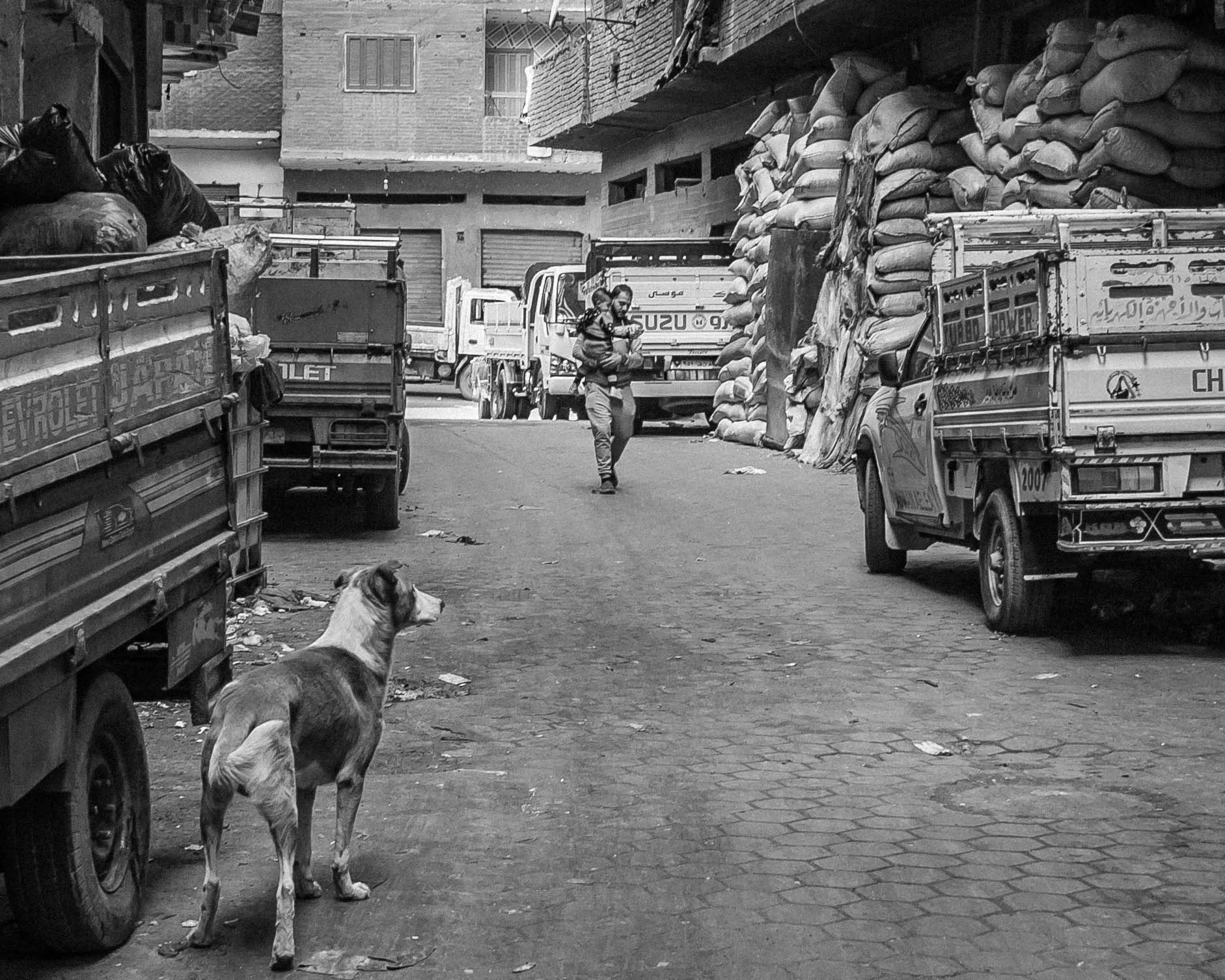 Zabbaleen Man - Cairo