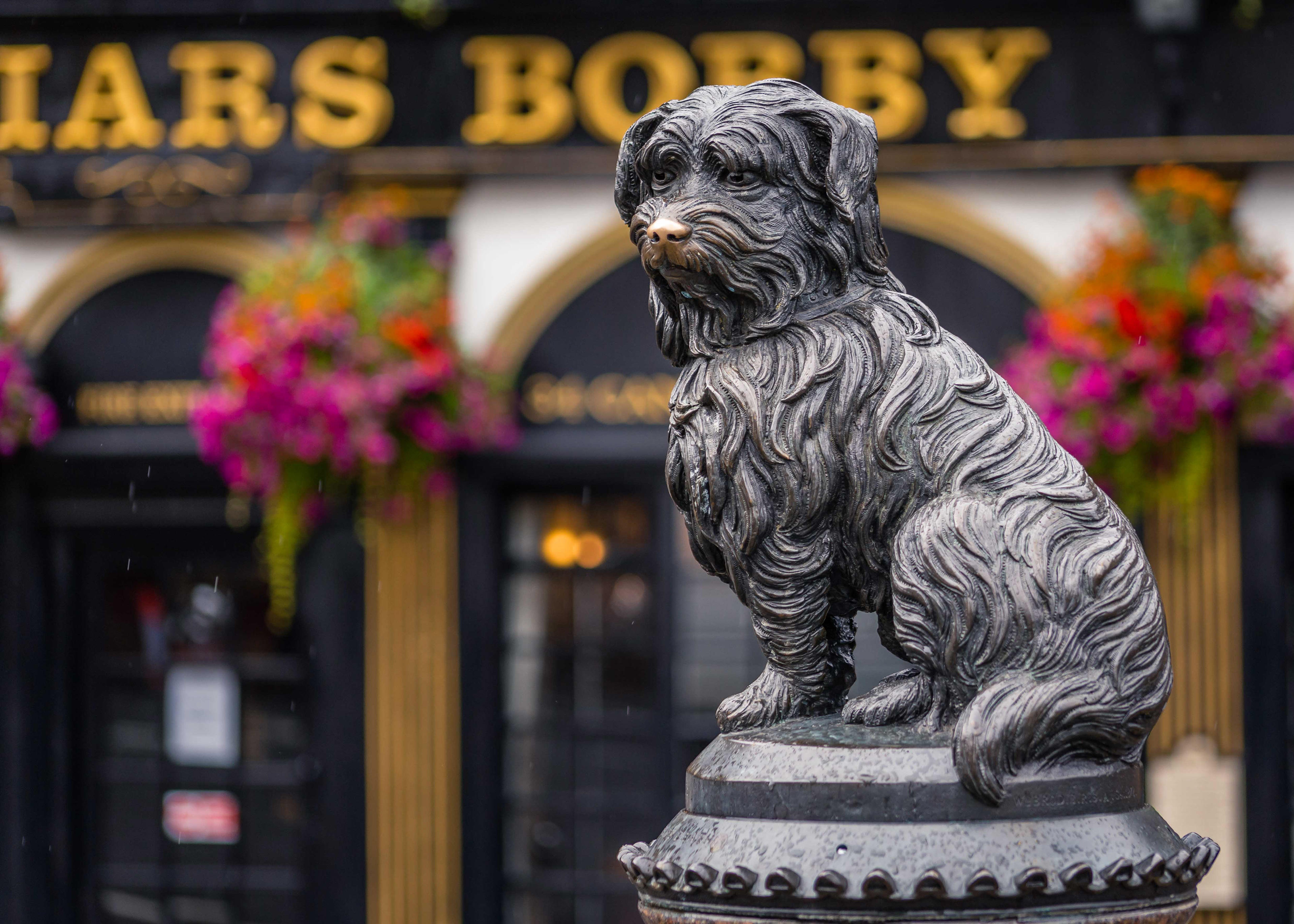 Greyfriars Bobby