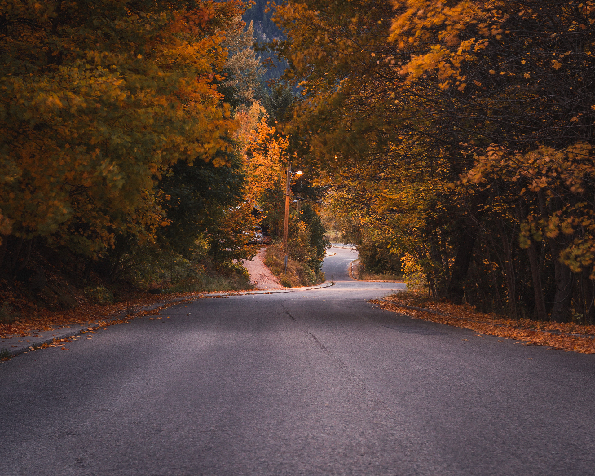 Winding Autumn Road