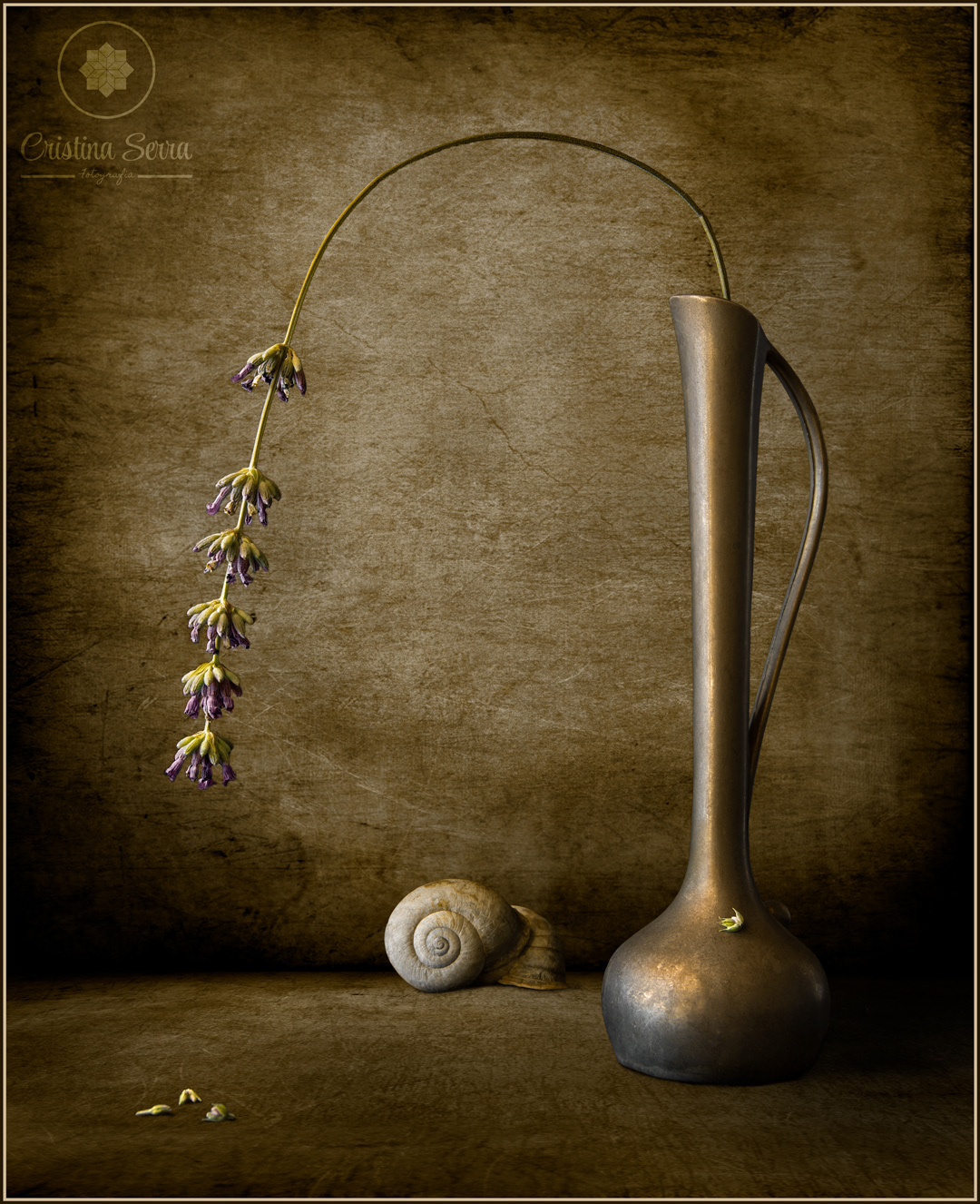 Bodegón de flor inclinada en jarron metalico con caracoles
